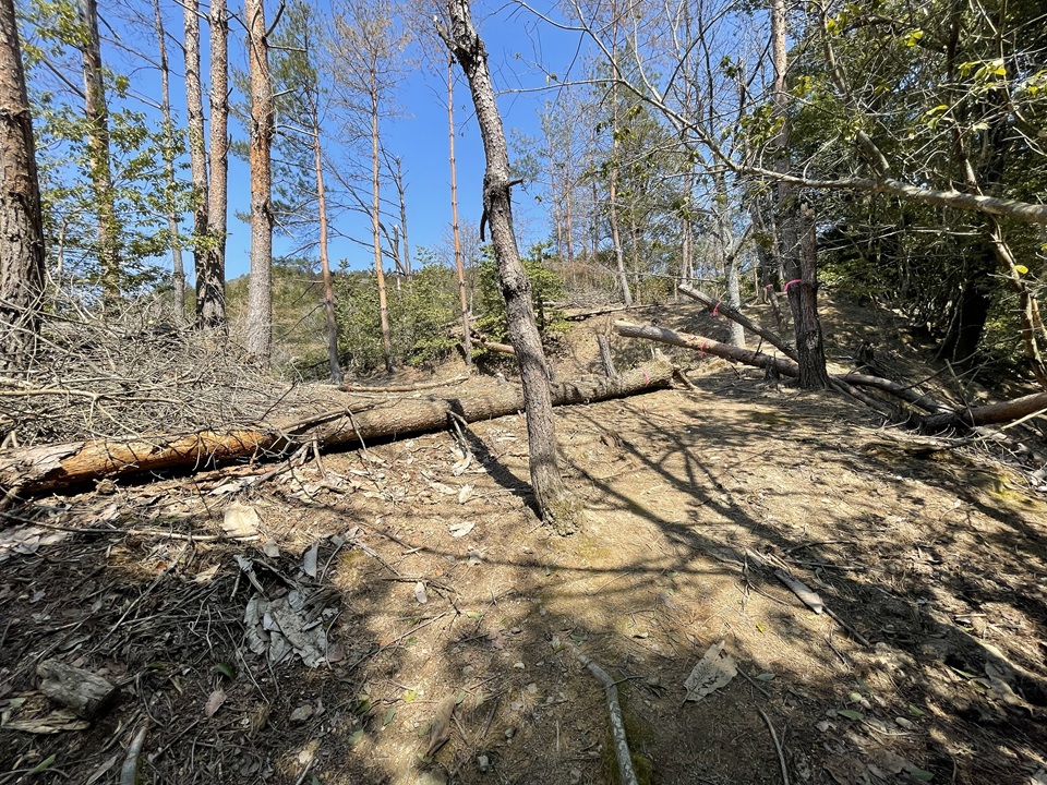 旧本城二ノ丸跡