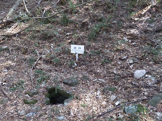 諏訪水（古井戸）