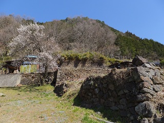 近くから見上げる図
