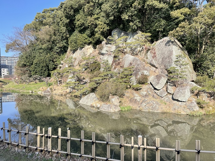 内堀の内側の岩