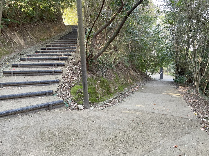 坂道：内堀内側から杉ノ壇